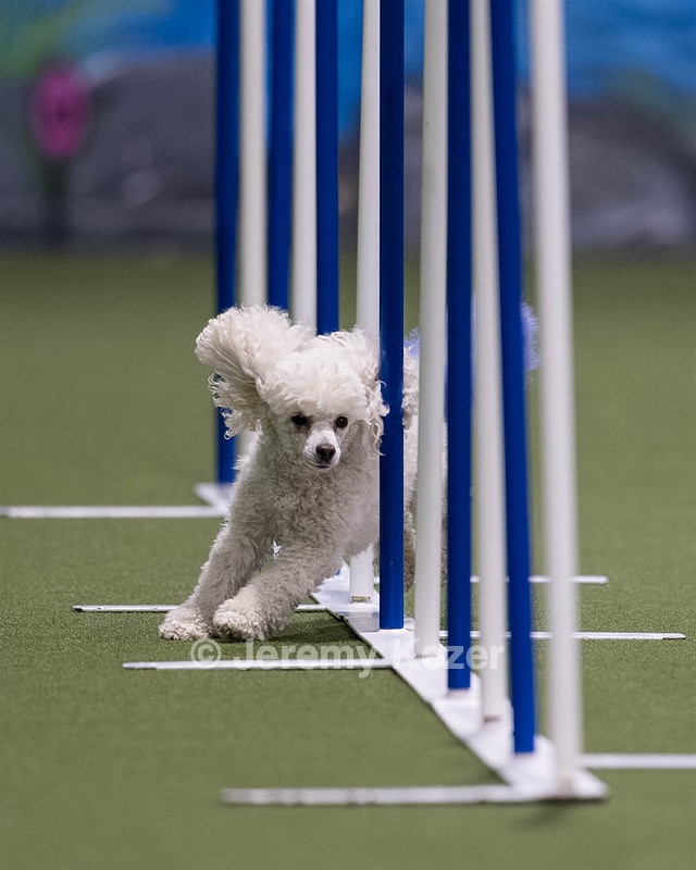 Bolt Kearney