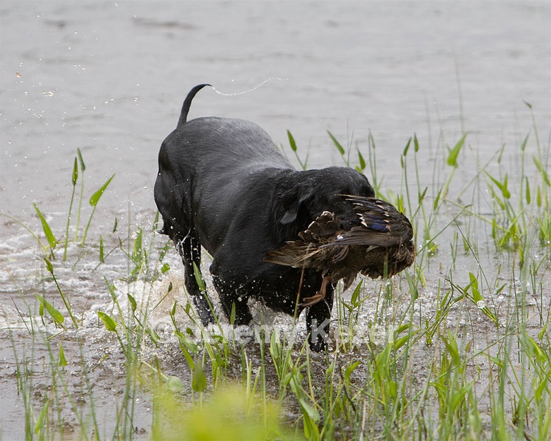20080531-HRW-0138.jpg