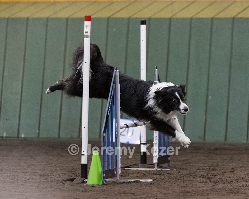 Breeze Schunk