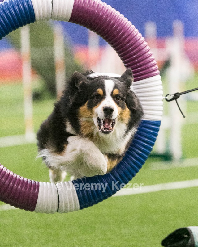 20150322-LEAP-0539.jpg