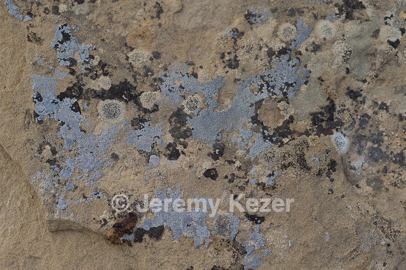 20151204-0240.jpg