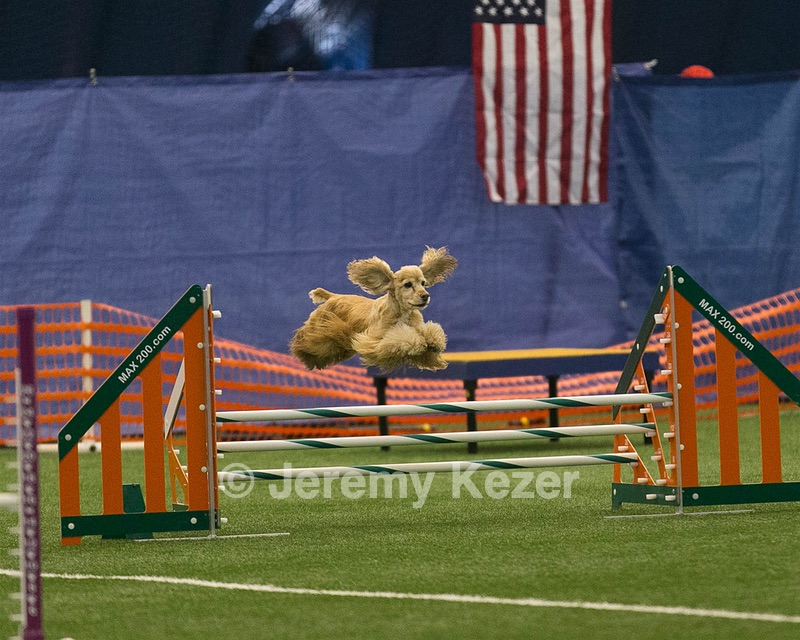 20150321-LEAP-1283.jpg