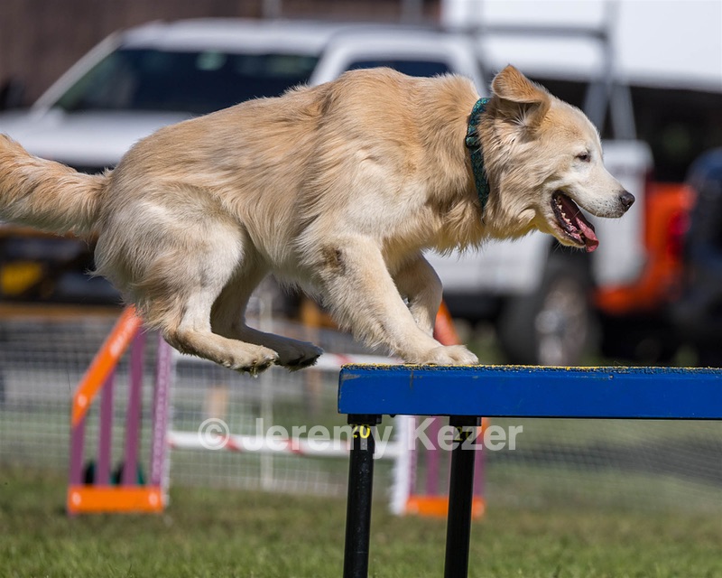 Winter Elovic