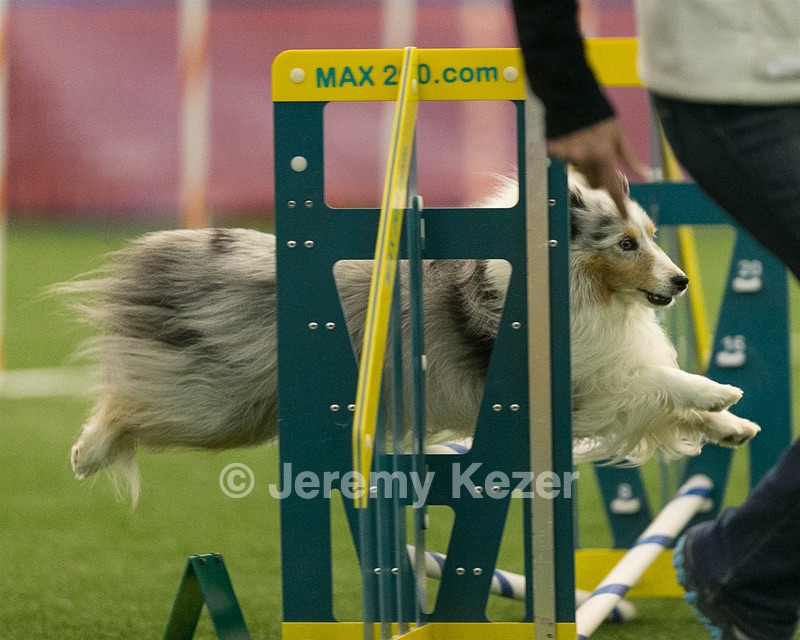 20150321-LEAP-1524.jpg
