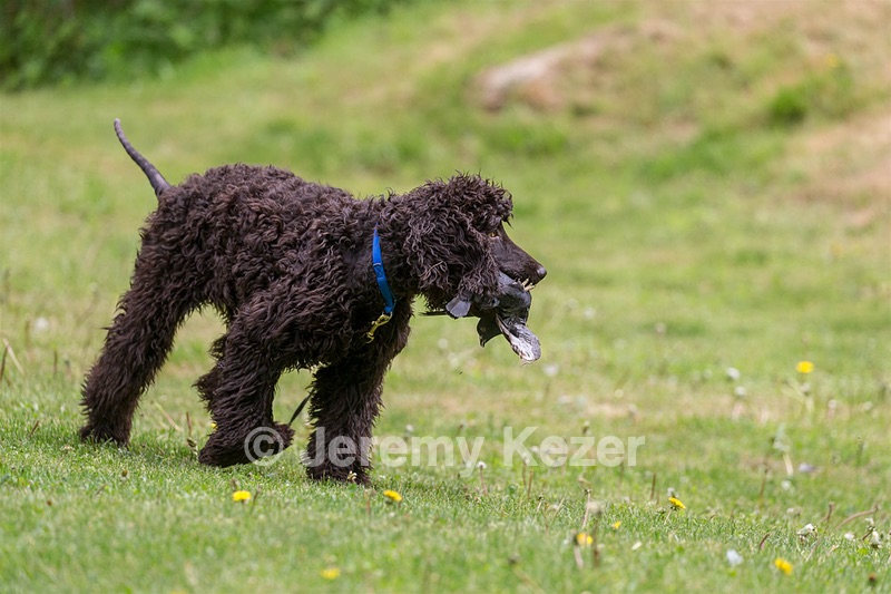 20190512-BD-0074.jpg