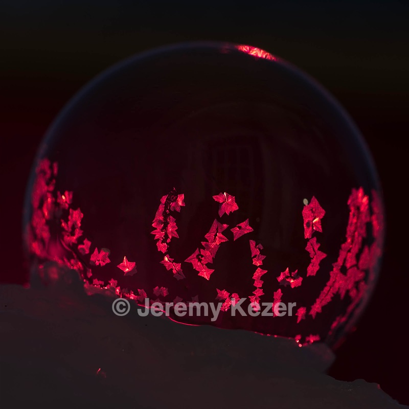 20250303-0028.jpg