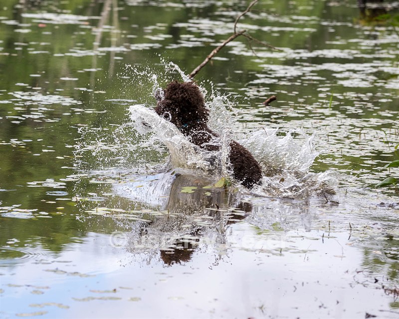 Ghillie Kezer