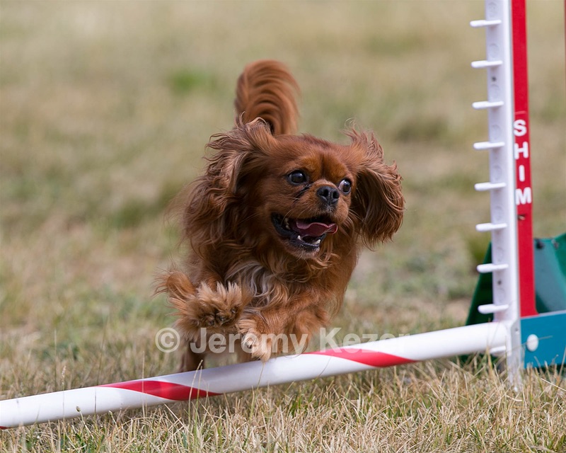 20150613-CCKC-0015.jpg