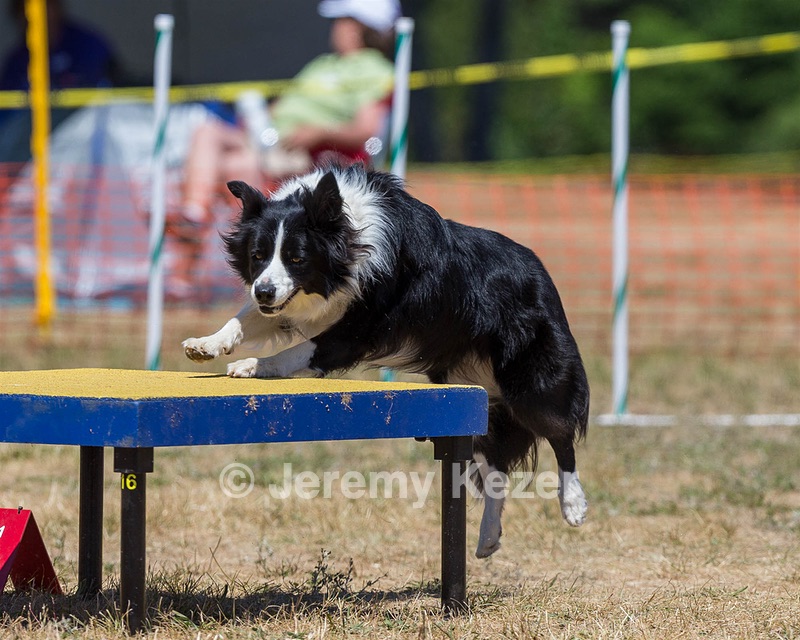 20160619-CCKC-1223.jpg