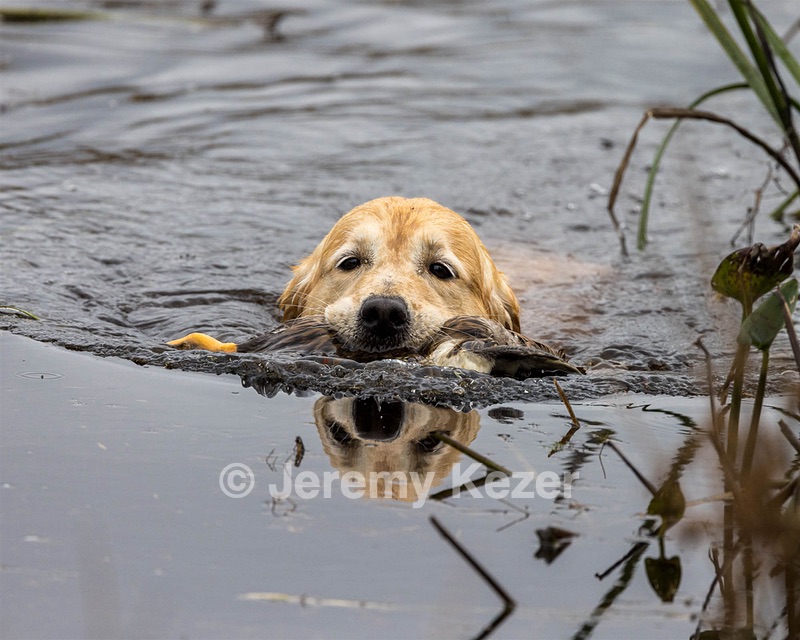 20231007-WCXW-0240.jpg