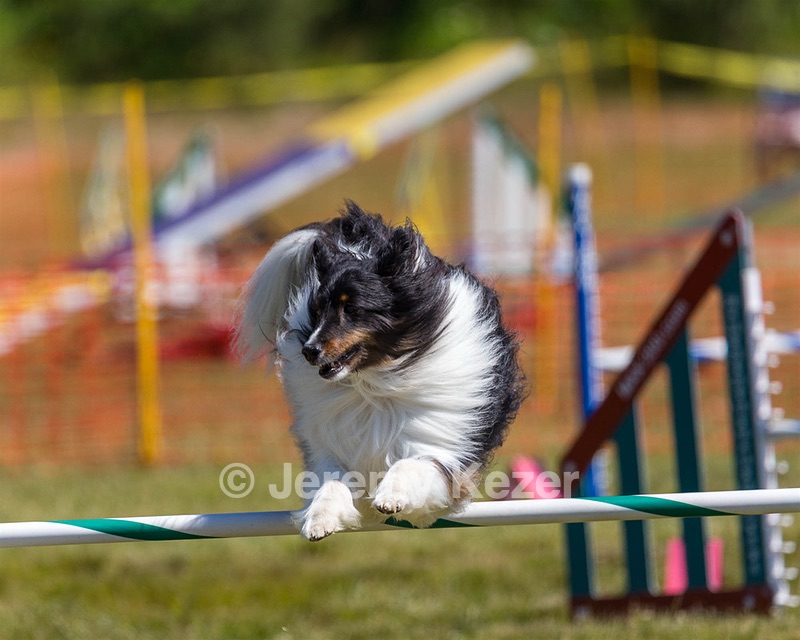 20180617-0563.jpg