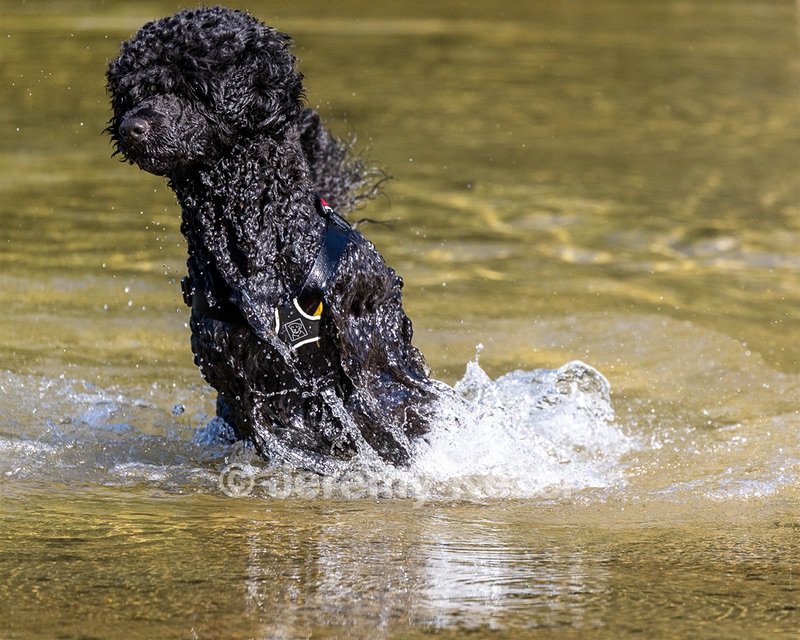 Breeze Holden