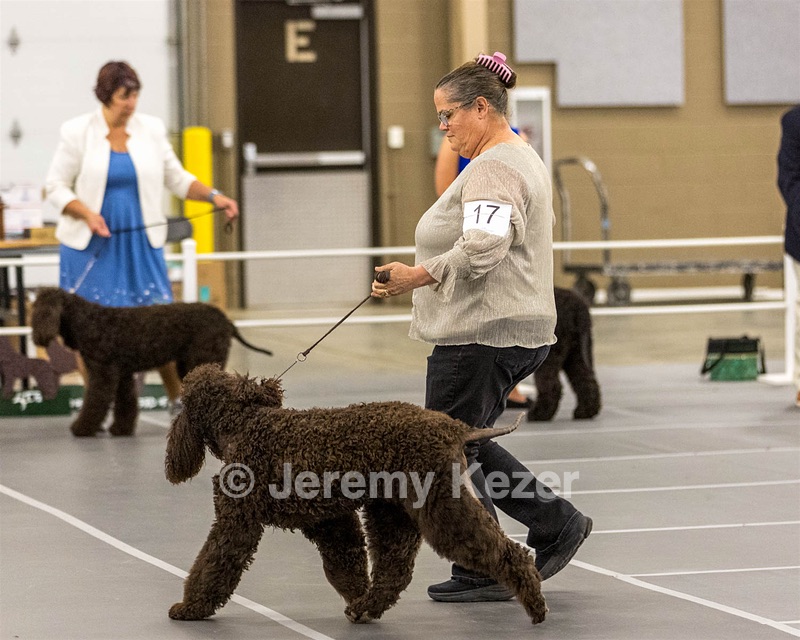 17 - Ballyhoo’s V Finnegan Mcneill BN FDC CA BCAT DS DJ CGCA TKN VHMA JH JHU WD