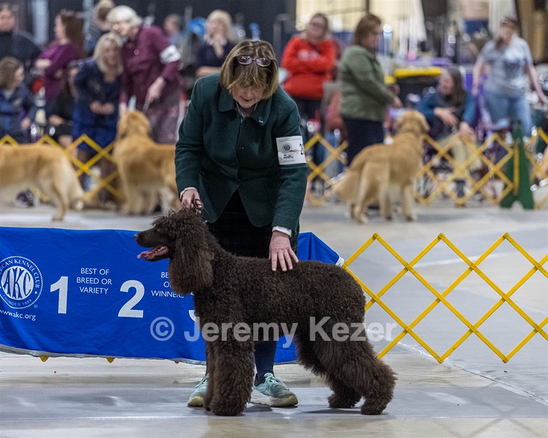 26 - LANDACRE'S FEELIN' GROOVY