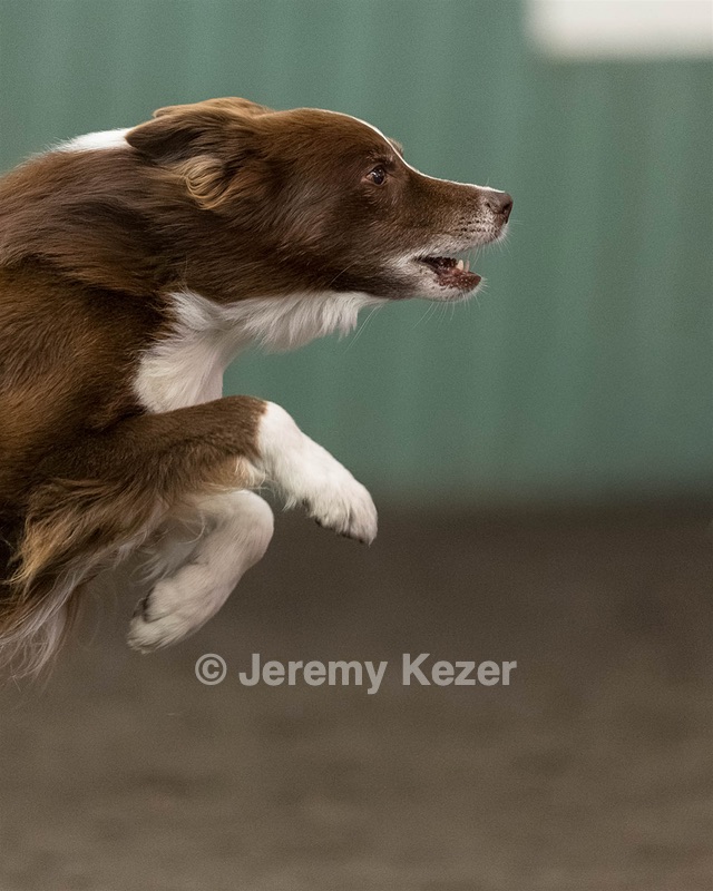 Ruff Bettler