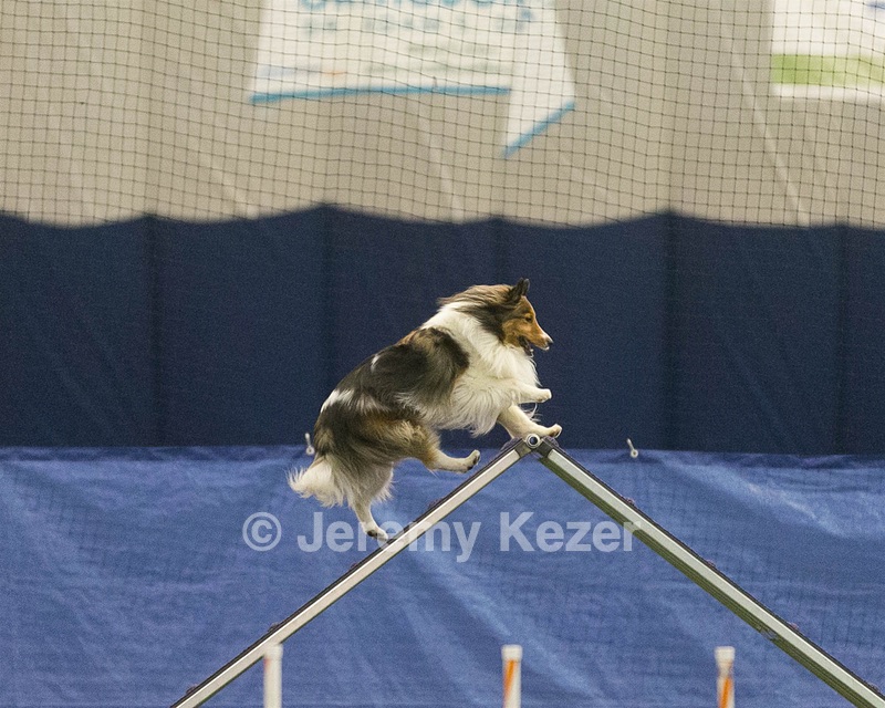 20150321-LEAP-1378.jpg