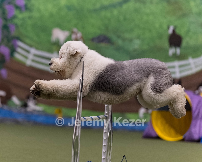 Yoshi Mabardy