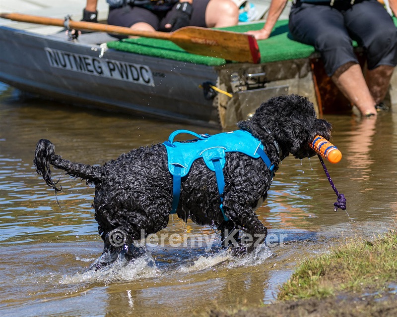 Fenwick Janet