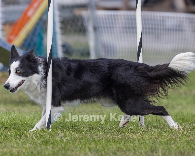20230917-PVKC-2745.jpg