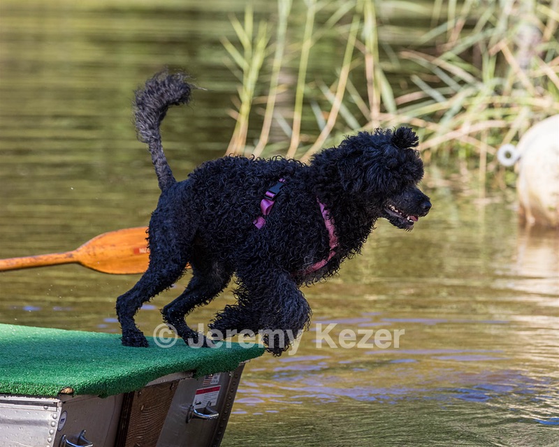 Tessa Patty
