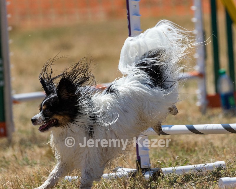 20160618-CCKC-2058.jpg