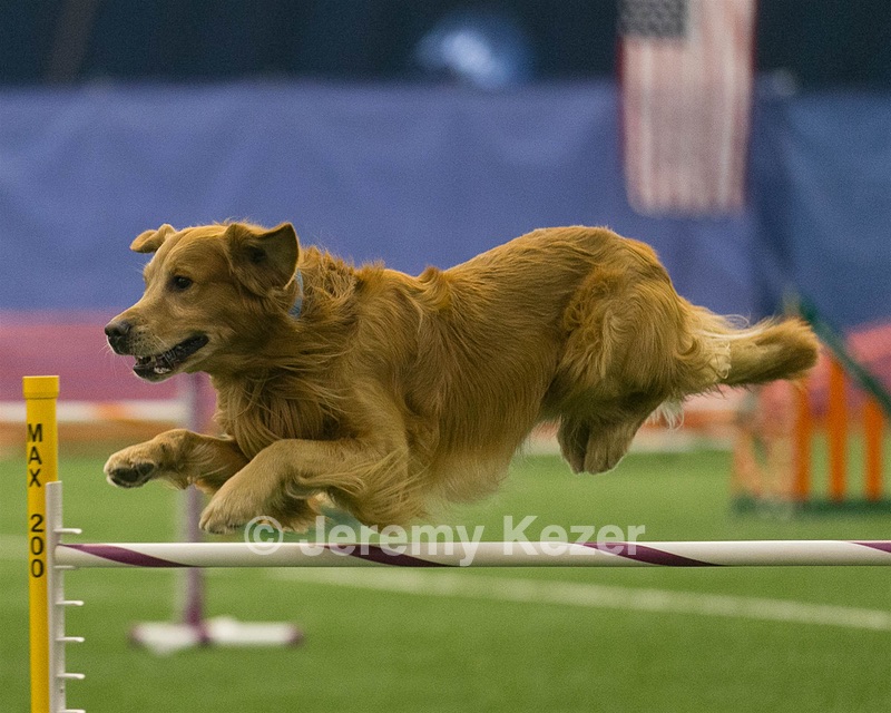 20150321-LEAP-0661.jpg