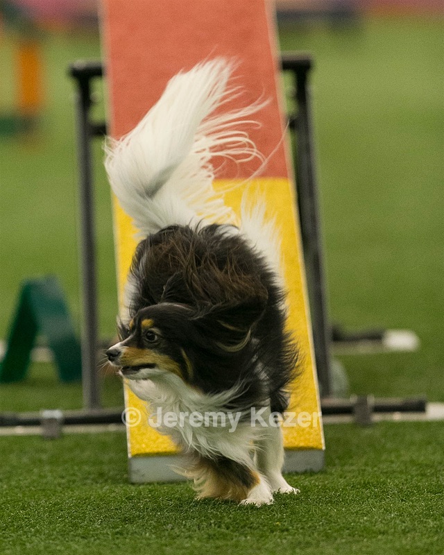 20150321-LEAP-1787.jpg