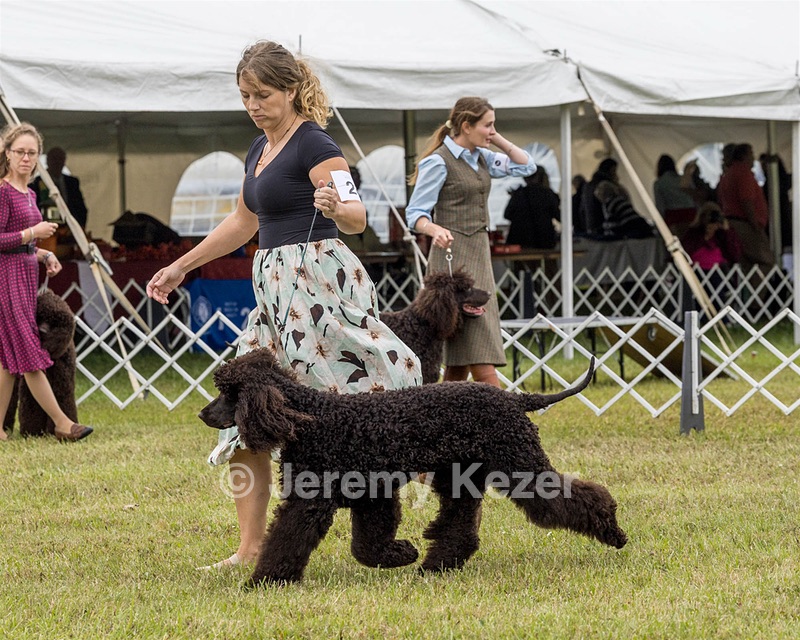 24 - POOLE'S IDE MODERN LOVE CGC (Remi)