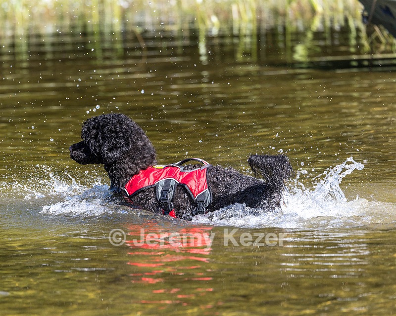 Breeze Holden