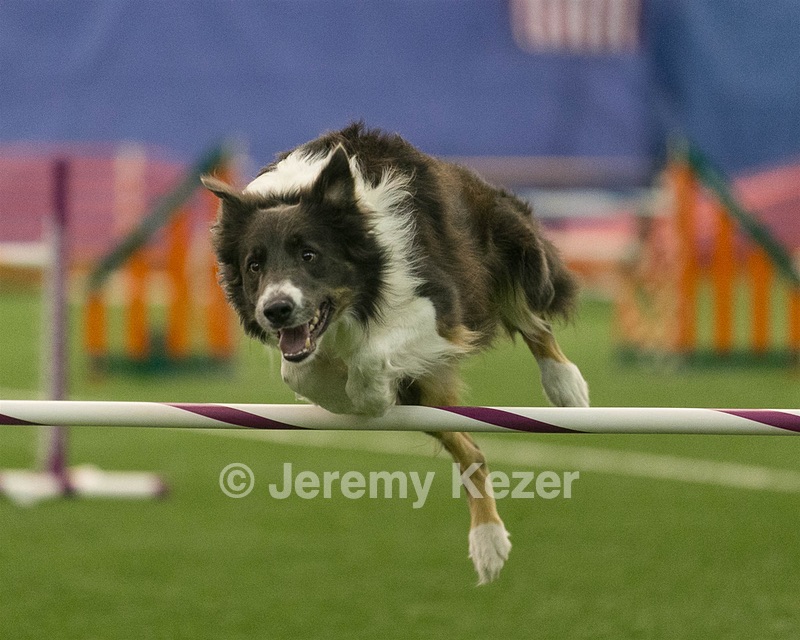 20150321-LEAP-0604.jpg
