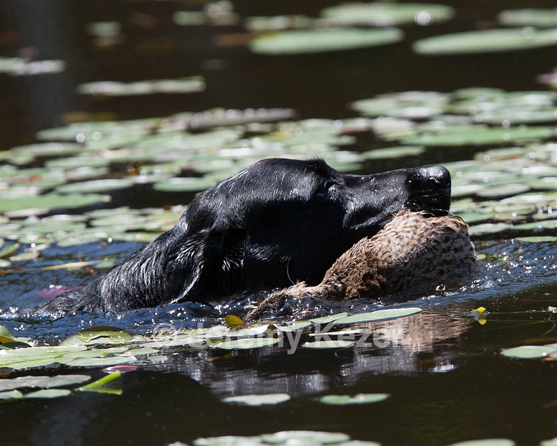 20130602-SEAW-0402.jpg