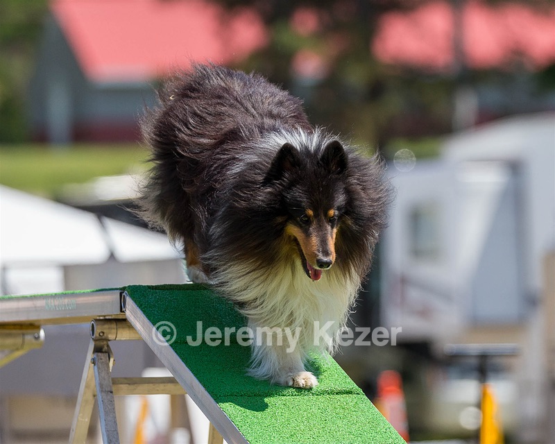 20180617-1439.jpg