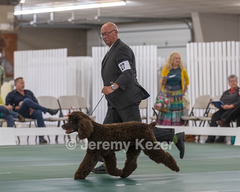 27 - CH MALLYREE'S MR ODIN OF MADRONA (Odin)