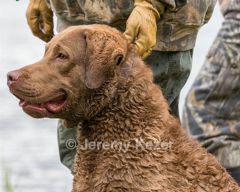 Hunter Law
