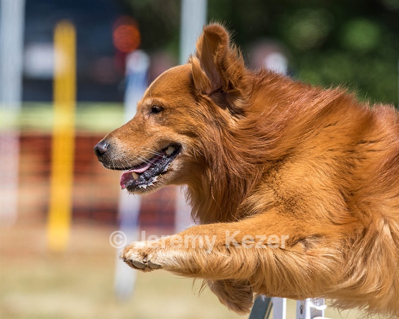 20160619-CCKC-0611.jpg