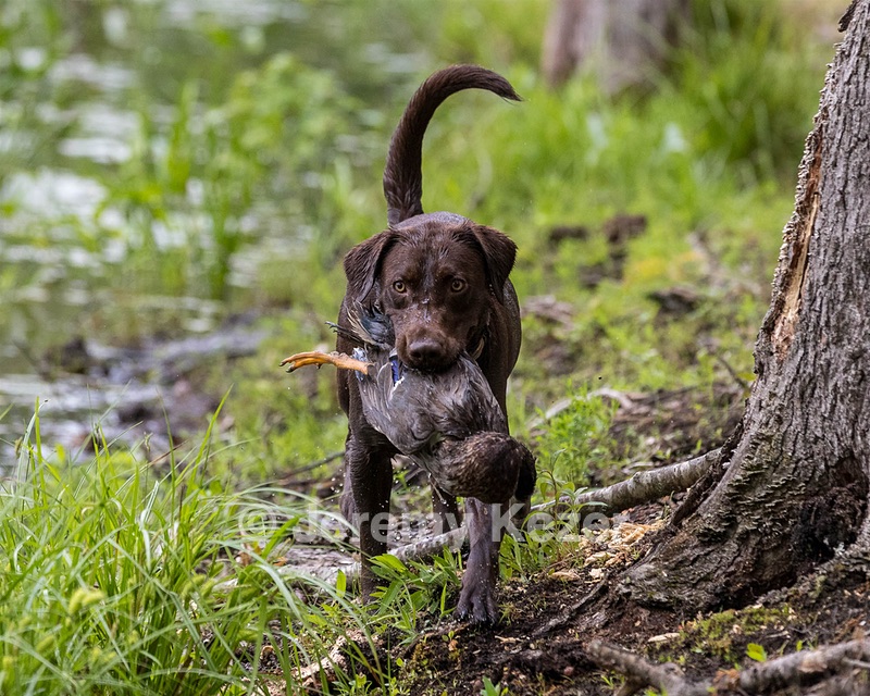 River Williams