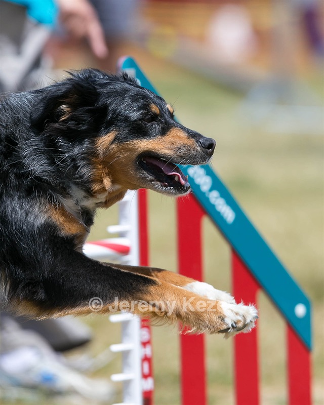 20150613-CCKC-0135.jpg