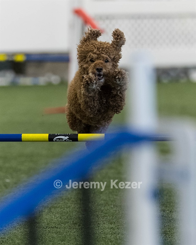 Champ Soccodato