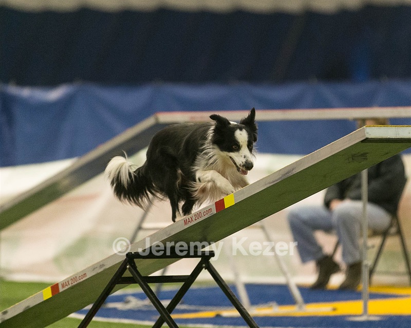 20150321-LEAP-0867.jpg