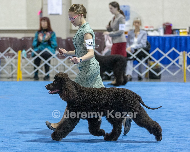 19 - GCH CH Axelhurn Now I'm Here (Marcus)