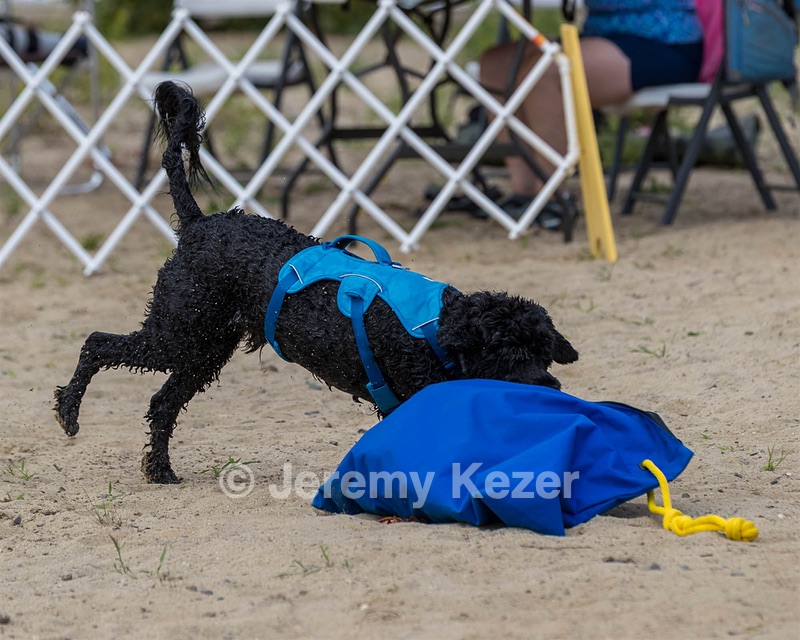Fenwick Kutner