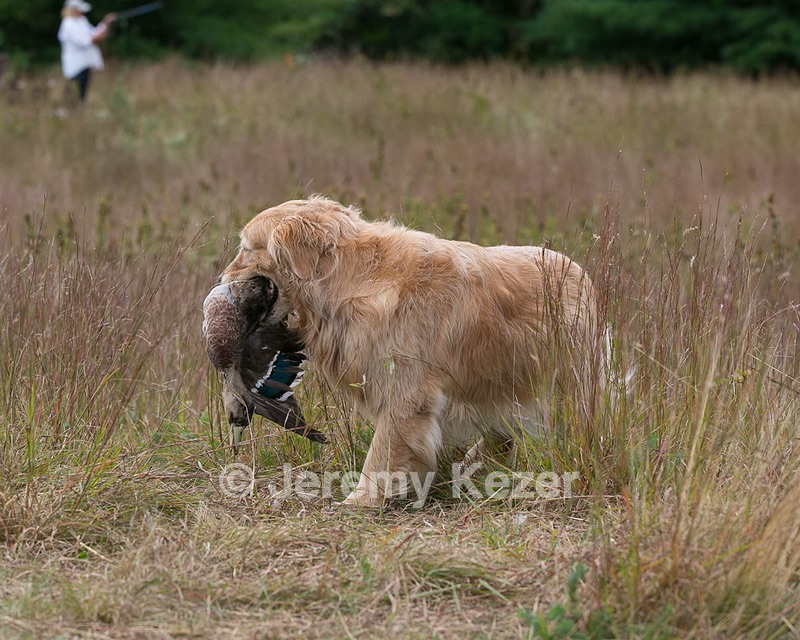 20130921-WCL-0005.jpg