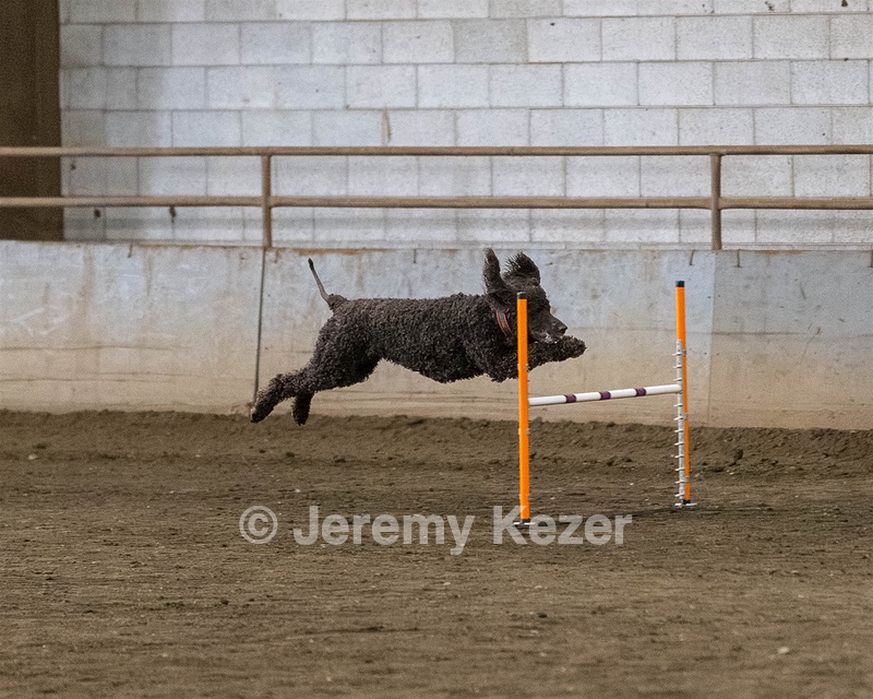 20190513-AG-0487.jpg