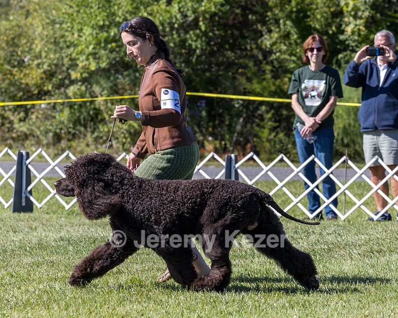 25 - GCH CH POOLE'S IDE RIPTIDE OHS RI DS CGC (Rip)