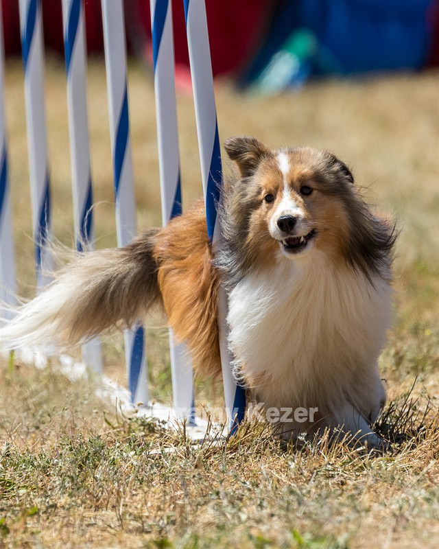 20160618-CCKC-1900.jpg