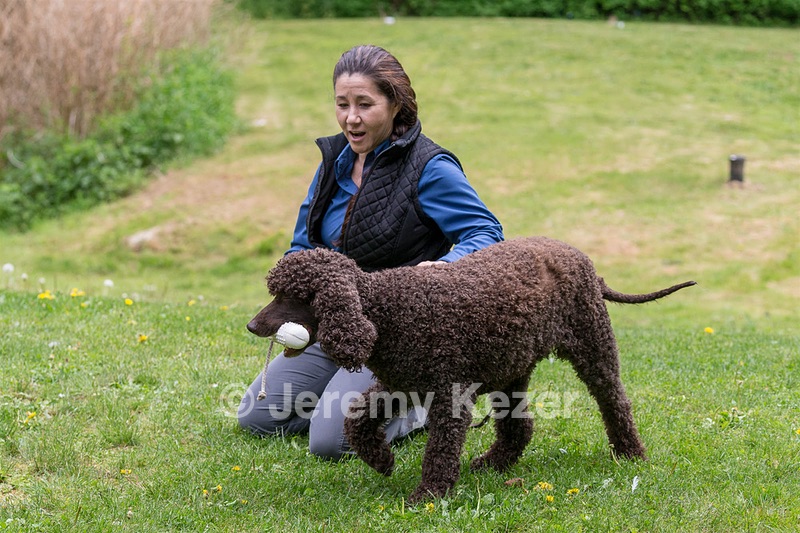 20190512-BD-0156.jpg