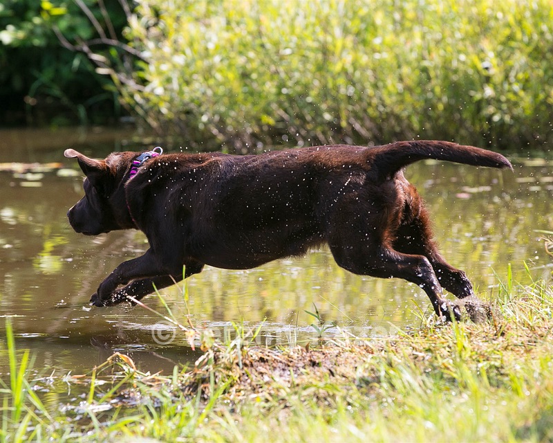 Wynnie Gurlacz