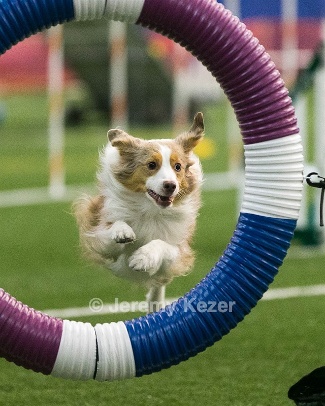 20150322-LEAP-0312.jpg