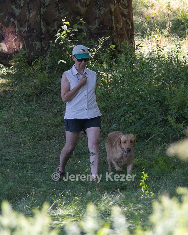 Fargo Shea
