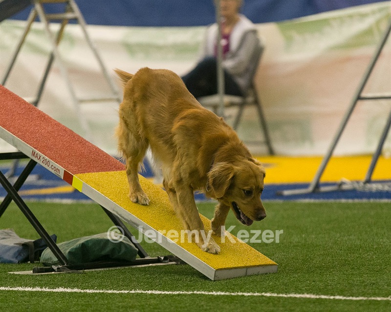 20150321-LEAP-0674.jpg